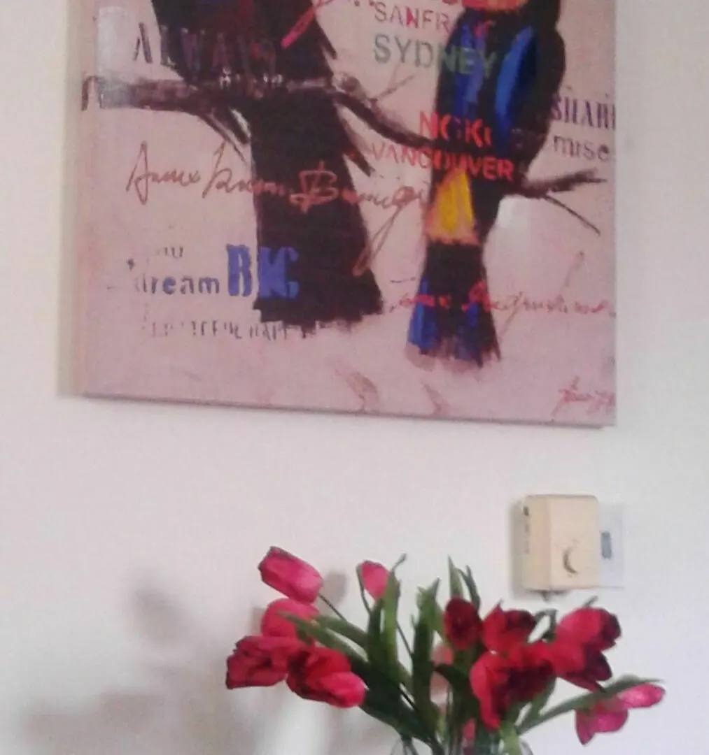 Hostal Class Colonial Santo Domingo 2*,